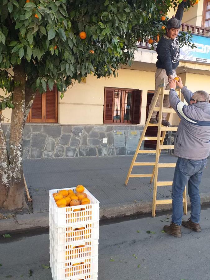 Appartamento La Francisca San Salvador de Jujuy Esterno foto